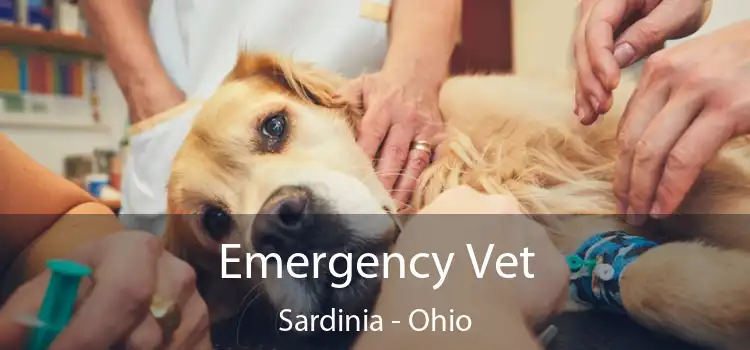 Emergency Vet Sardinia - Ohio