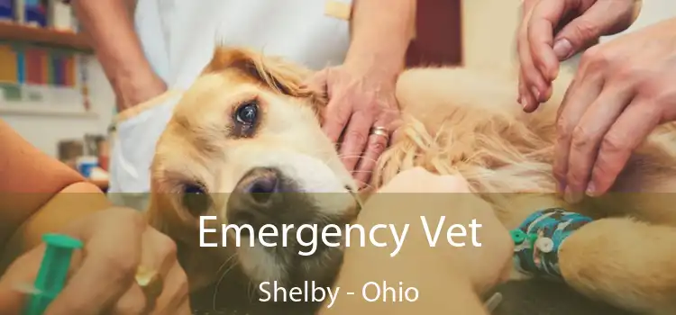 Emergency Vet Shelby - Ohio