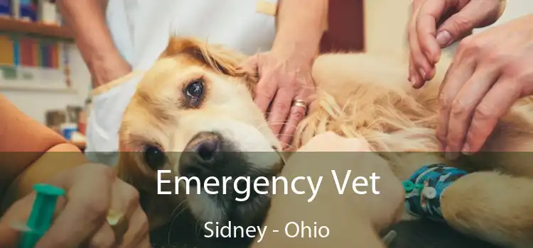 Emergency Vet Sidney - Ohio