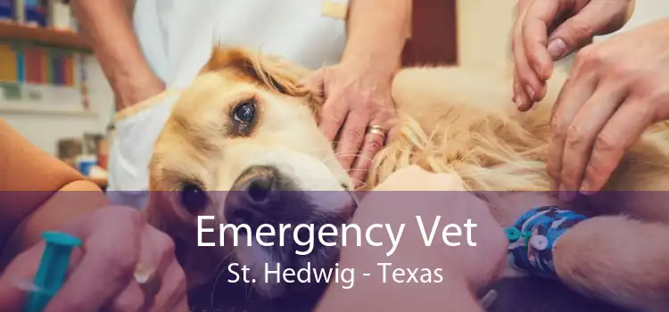 Emergency Vet St. Hedwig - Texas