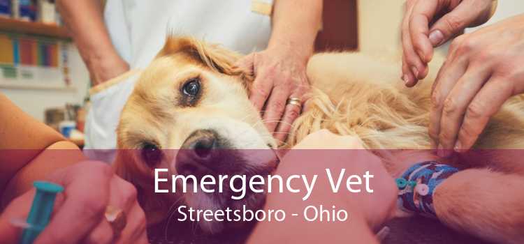 Emergency Vet Streetsboro - Ohio