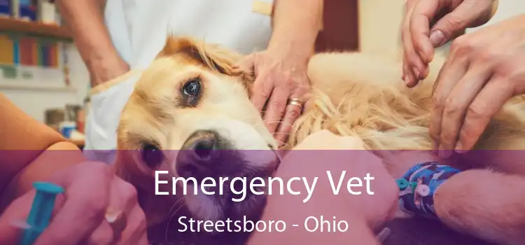 Emergency Vet Streetsboro - Ohio