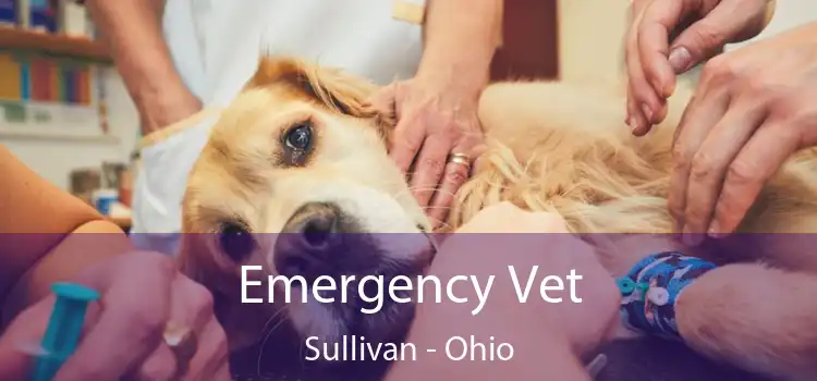 Emergency Vet Sullivan - Ohio