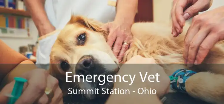 Emergency Vet Summit Station - Ohio