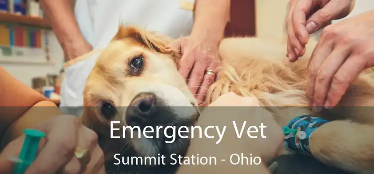Emergency Vet Summit Station - Ohio