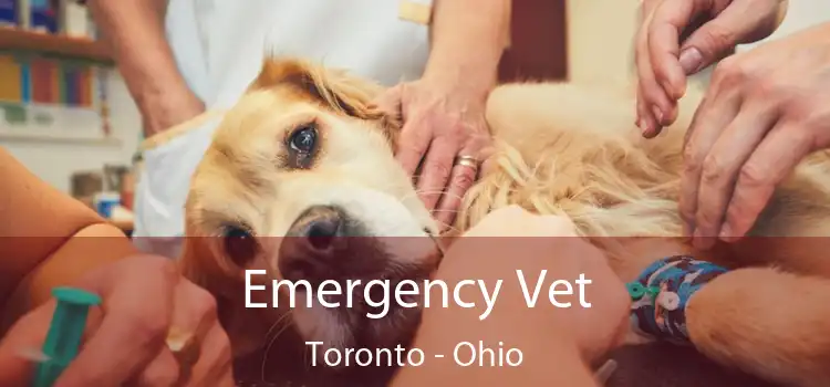 Emergency Vet Toronto - Ohio