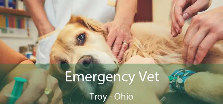 Emergency Vet Troy - Ohio