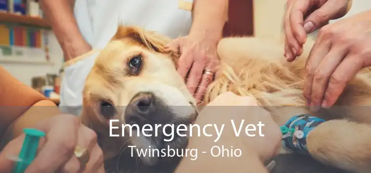 Emergency Vet Twinsburg - Ohio