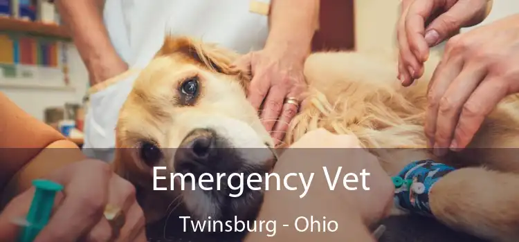 Emergency Vet Twinsburg - Ohio