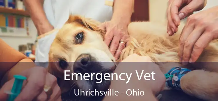 Emergency Vet Uhrichsville - Ohio