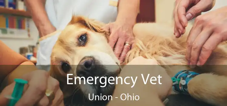 Emergency Vet Union - Ohio