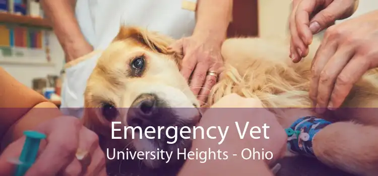 Emergency Vet University Heights - Ohio