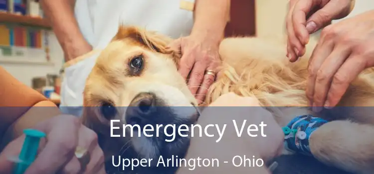 Emergency Vet Upper Arlington - Ohio