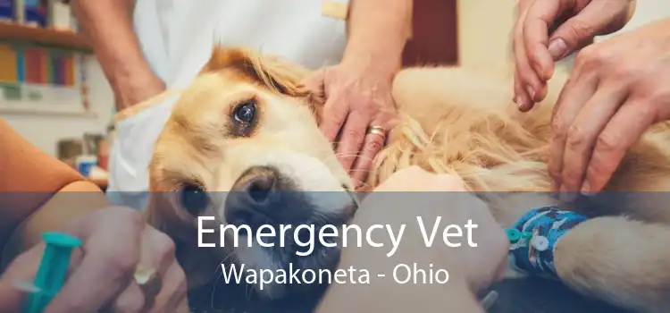 Emergency Vet Wapakoneta - Ohio