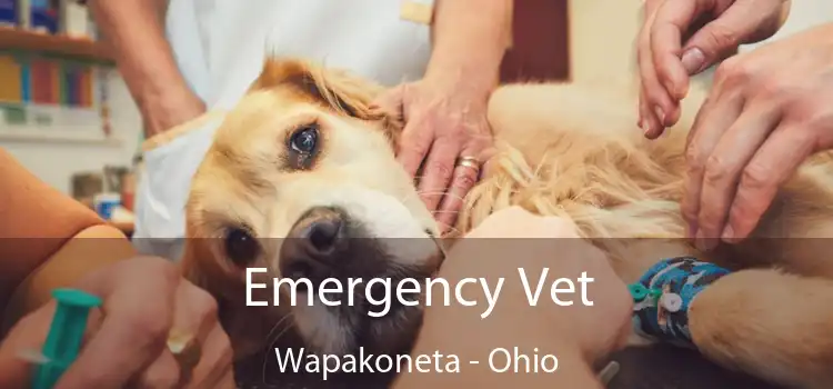 Emergency Vet Wapakoneta - Ohio