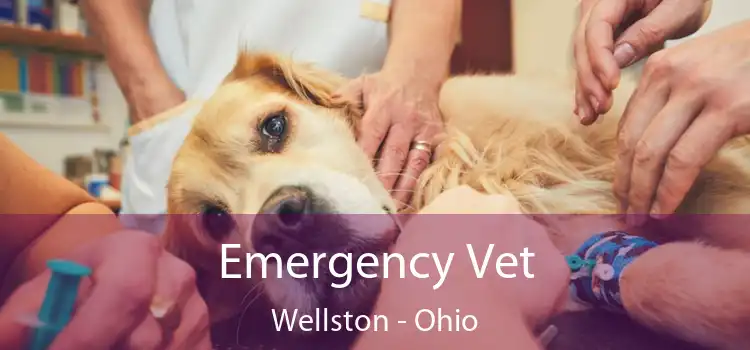 Emergency Vet Wellston - Ohio
