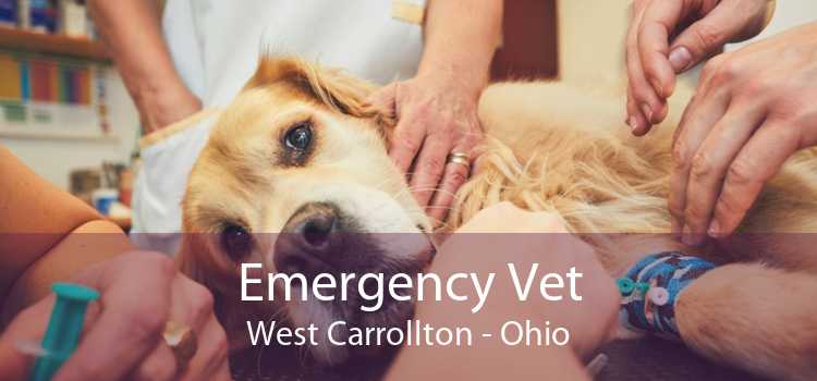 Emergency Vet West Carrollton - Ohio
