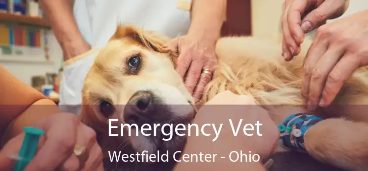 Emergency Vet Westfield Center - Ohio