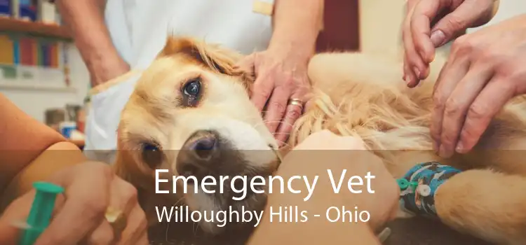 Emergency Vet Willoughby Hills - Ohio