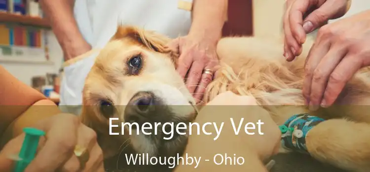 Emergency Vet Willoughby - Ohio