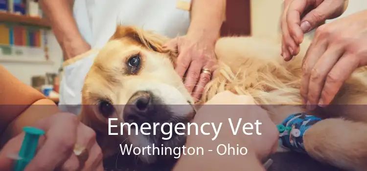 Emergency Vet Worthington - Ohio