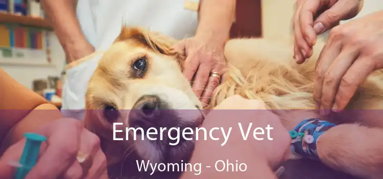 Emergency Vet Wyoming - Ohio