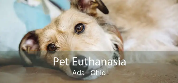 Pet Euthanasia Ada - Ohio