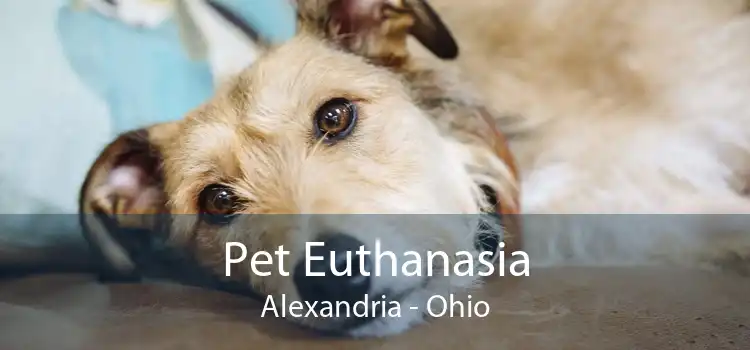 Pet Euthanasia Alexandria - Ohio