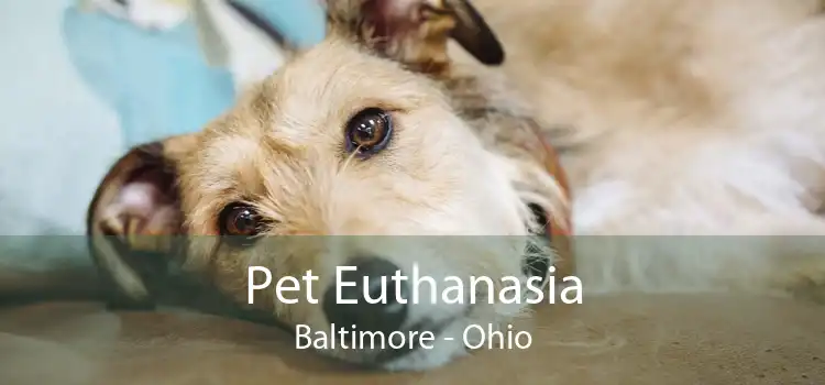 Pet Euthanasia Baltimore - Ohio