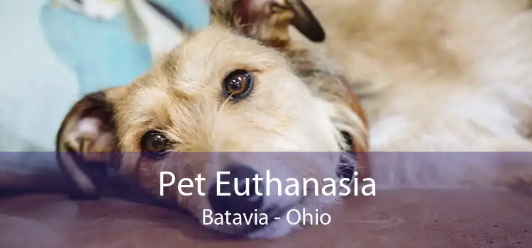 Pet Euthanasia Batavia - Ohio