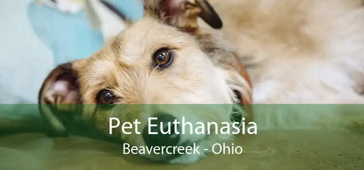Pet Euthanasia Beavercreek - Ohio