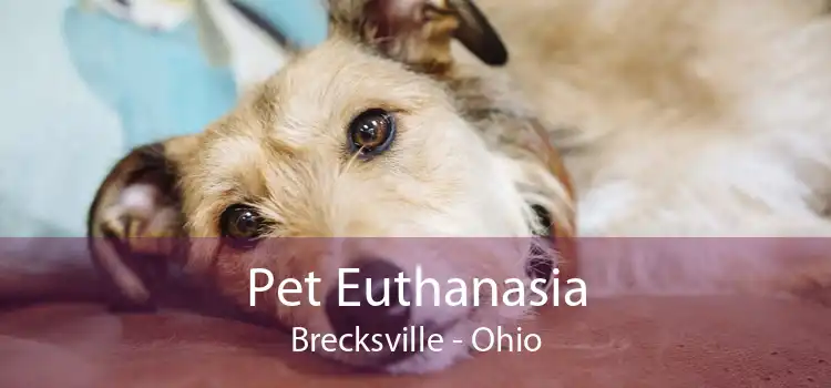 Pet Euthanasia Brecksville - Ohio