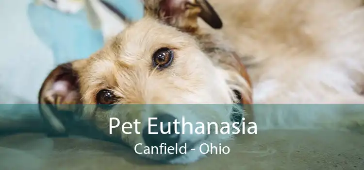 Pet Euthanasia Canfield - Ohio