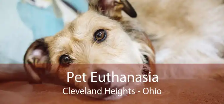Pet Euthanasia Cleveland Heights - Ohio