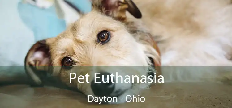 Pet Euthanasia Dayton - Ohio