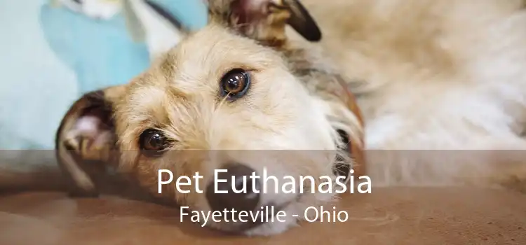 Pet Euthanasia Fayetteville - Ohio