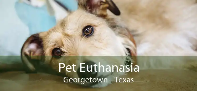 Pet Euthanasia Georgetown - Texas