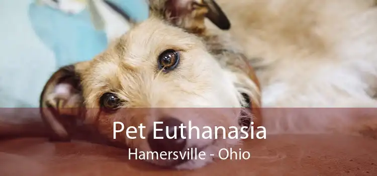 Pet Euthanasia Hamersville - Ohio