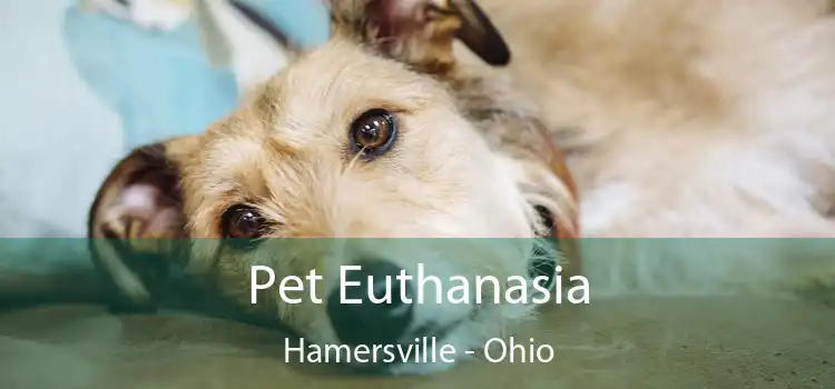 Pet Euthanasia Hamersville - Ohio