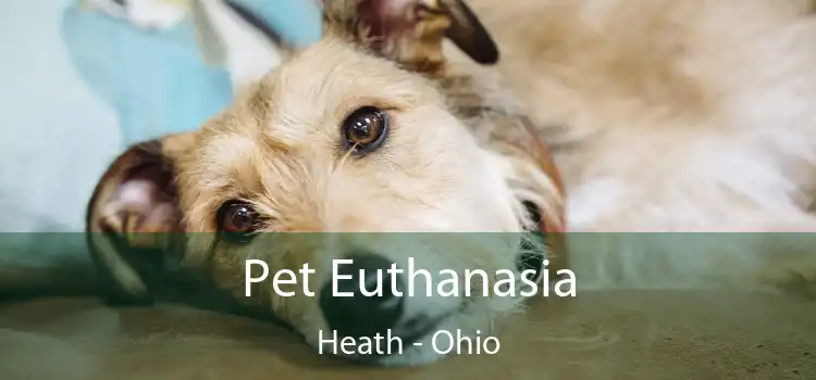 Pet Euthanasia Heath - Ohio