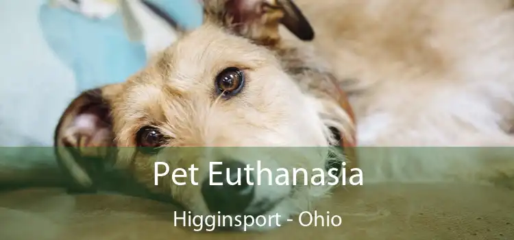 Pet Euthanasia Higginsport - Ohio