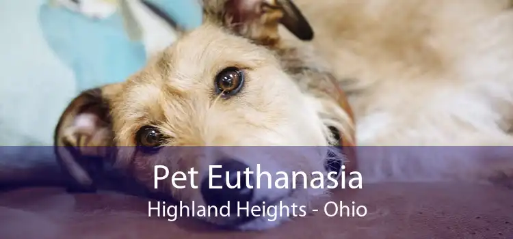 Pet Euthanasia Highland Heights - Ohio