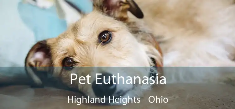Pet Euthanasia Highland Heights - Ohio