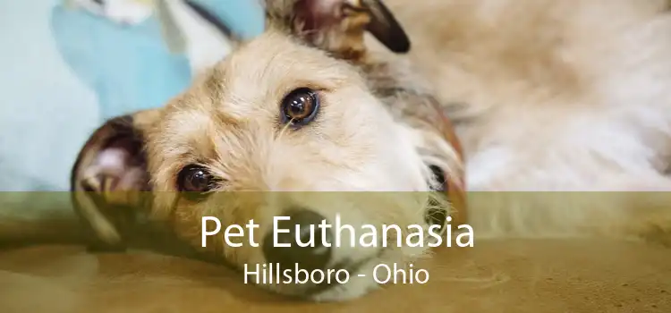 Pet Euthanasia Hillsboro - Ohio