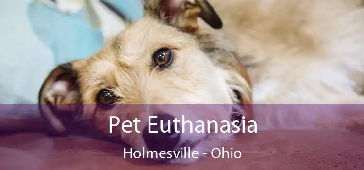 Pet Euthanasia Holmesville - Ohio