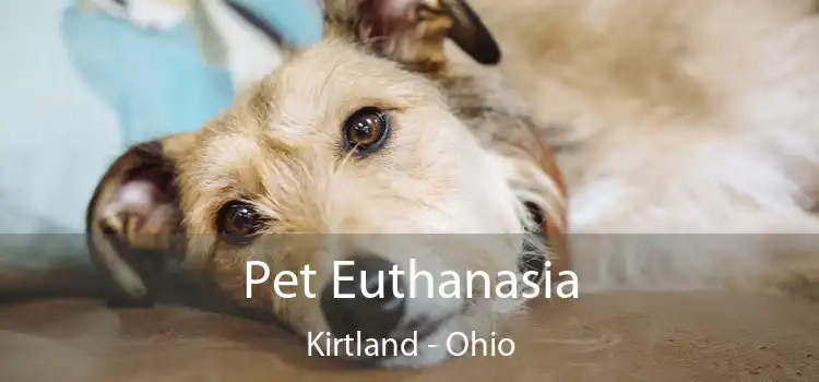 Pet Euthanasia Kirtland - Ohio