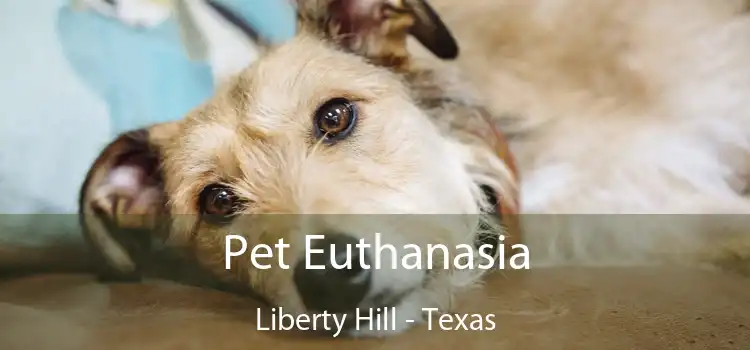 Pet Euthanasia Liberty Hill - Texas