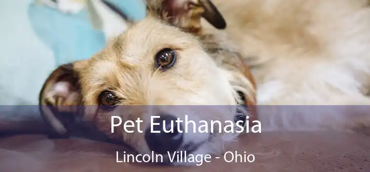 Pet Euthanasia Lincoln Village - Ohio