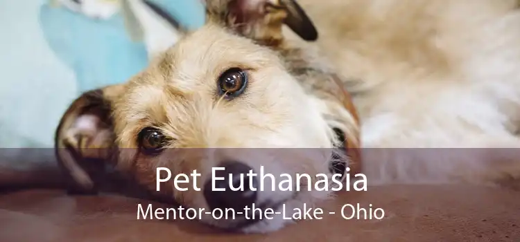 Pet Euthanasia Mentor-on-the-Lake - Ohio