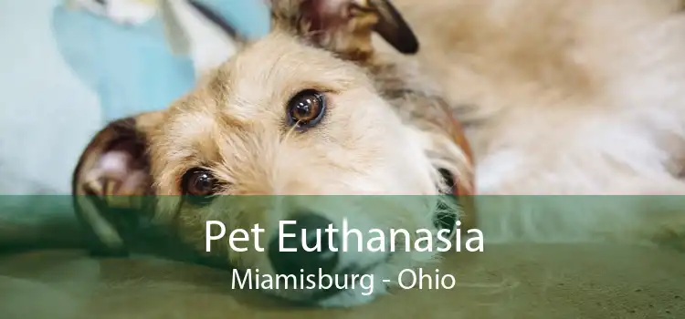 Pet Euthanasia Miamisburg - Ohio